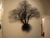 ... attirent l'œil.