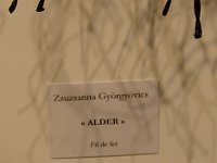 ... les œuvres en fil de fer d'une artiste hongroise vivant à Rotterdam ...