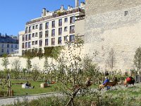 ... boulevard Voltaire,  déjà adopté par les riverains.