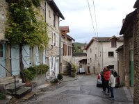 Admiration de la glycine.
