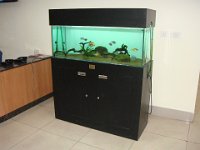 3a Très chic et propre.