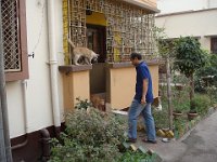 26 À 10 mn à pied, chez Rupa et Amit, les chats sont rois.