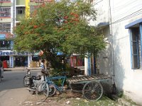 11 ... Hollandais, Britanniques, Indochinois, etc.