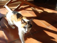 02 ... bien vieille et fatiguée, ...