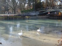 05 ... dont le niveau a dramatiquement baissé ces dernières semaines, ...