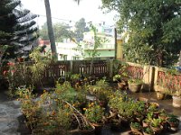 03 .. fleurie et ombragée.