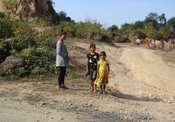 Kaziranga (rochers, thé)