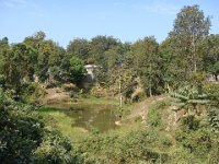 119 ... surplombe un petit étang ...