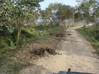 32 Des éléphants sont passés par là !