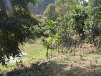 136 ... non loin des rochers et de l'étang vu auparavant ...