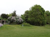 Le parc est peu entretenu, par manque de moyens, mais la pelouse est quand même tondue.