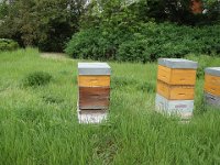 ... est très actif. Il y a déjà plusieurs hausses, en cette fin avril.