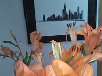 Jean-Paul a pris en gros plan les lys orangés que nous avons apportés, devant une aquarelle de Chicago.