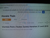 Léger problème pour revenir de Viarmes sur Paris. Encore pire qu'à l'aller. Du coup le tonton va nous amener à la gare de Goussainville, prendre le RER D, ce sera toujours mieux.