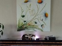 02czoom Au moins cela fait l'affaire de Minnie.