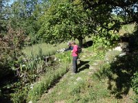 05 ... et les poissons du bassin sont vifs et affamés.