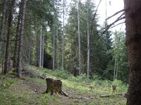 04 Plusieurs tempêtes récentes ont causé quelques dégâts ...