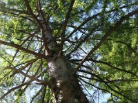 04 ... et de la sieste.