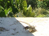 96zoom ... avec quelques difficultés, ...