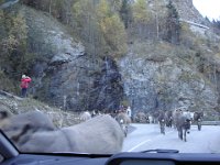 07 Nous ne sommes pas les seuls à les prendre en photo.