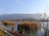 Le Rhône, vers Cressin-Rochefort