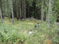 90 Les ânes aussi méritent le détour.