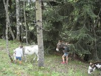 92 Consigne de sécurité : ne jamais passer juste derrière.