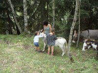 93 Les ânes sont certes très dociles, mais un coup de sabot est vite donné.