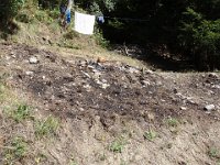 28 Sur le talus où Gérard a failli créer un incendie ...