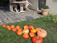 00 Petite récolte avant le départ.