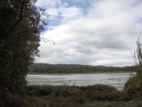 03 Mais nous n'avons pas vu les tortues cistudes.