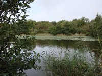 05 Faut dire qu'elles aiment se chauffer au soleil ...