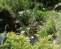 12 Les nénuphars (nénufars , en orthographe rectifiée 1990) sont en fleur