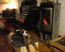 02 La veille de Noël, les chats sont prêts pour la nuit.