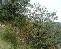 06 Descente vers la route ...