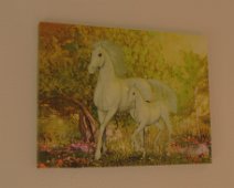 05 ... et quelques reproductions de peinture, comme ces licornes.