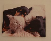 06 ... quelques photos ...