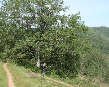 05 ... avant de redescendre ...