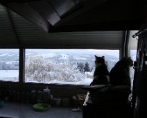 05 En attendant que passent les dernières neiges ...