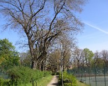 07 Quelques beaux arbres, même si pas aussi anciens qu'au Jardin des plantes.
