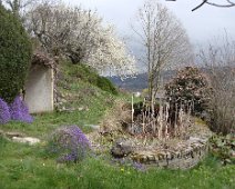 01 Aubretias, prunier en fleur, grand bassin plein à ras bord.