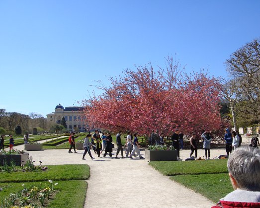 Jardin des plantes