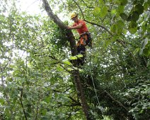 08 ... passons à l'autre, plus facile ...