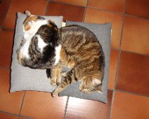 20 L'après-midi aussi ...