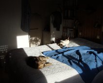 21 ... on peut somnoler au soleil.