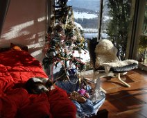 05 Pour autant les chats restent bien au chaud, sur la couette ...