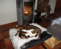 01 Pas encore concernés par le changement de saison !