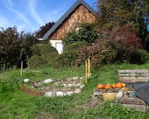 02 Après avoir cueilli notre fabuleuse récolte de potimarrons ...