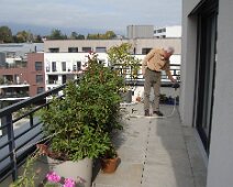 04 Le balcon s'est enrichi de quelques plantes, auxquelles Jean-Paul a fourni un arrosage automatique ...