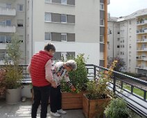 06 Curieuse, cette fleur.